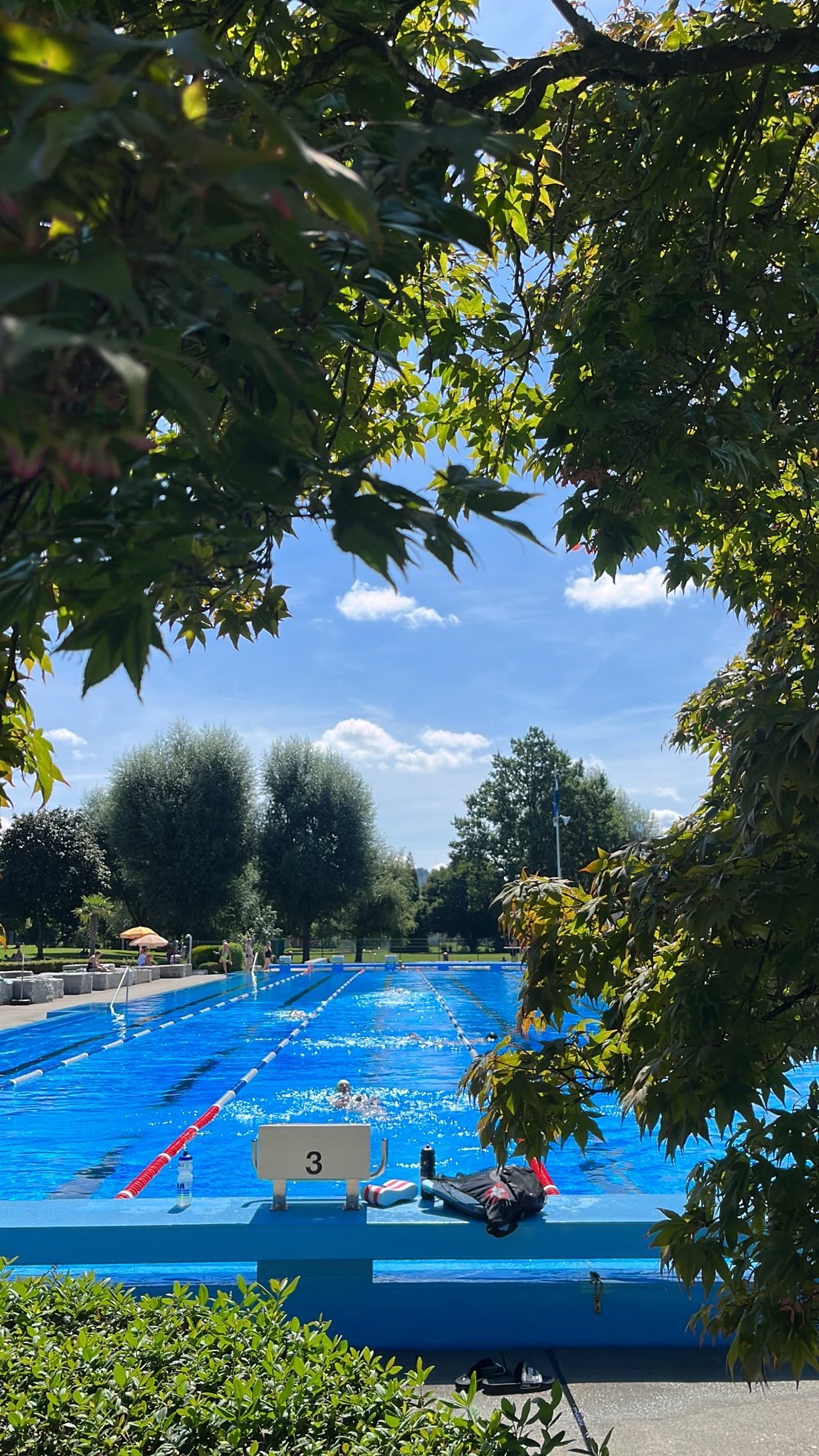Schwimmkurs Daniel Zocchi